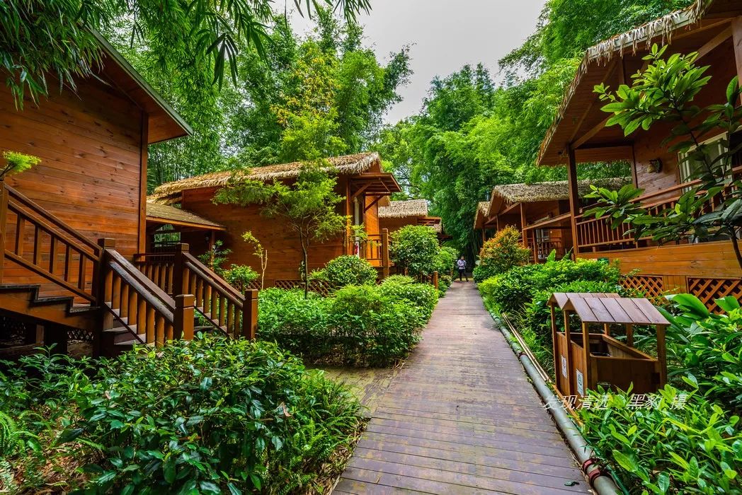 清远止林温泉民宿多少钱一晚,清远独立温泉民宿度假村排名榜