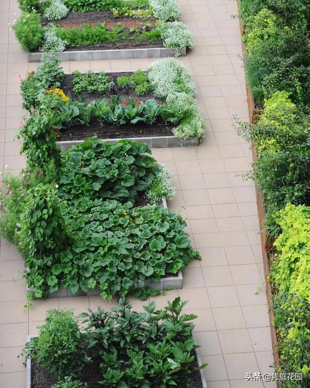 丰富又有趣的花园,花园是最能带给你身心愉悦的地方