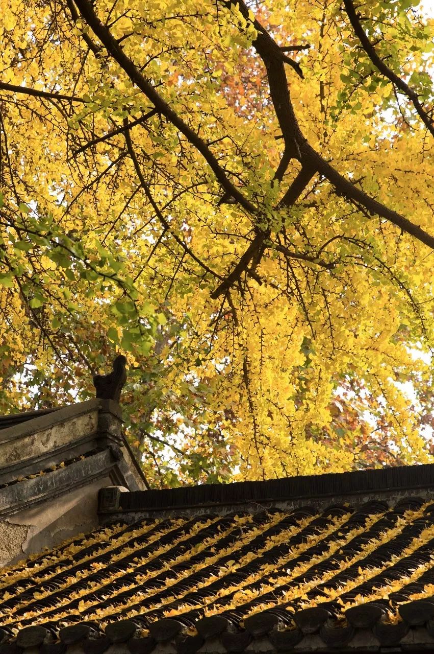 被严重低估的江苏成绩,扬州被严重低估的城市