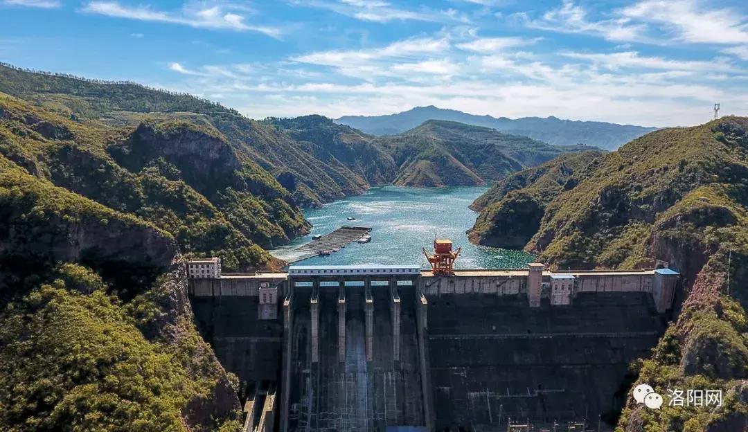 洛阳牡丹花会邀请,洛阳邀请全世界人民看牡丹