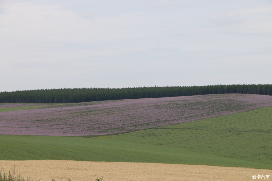 自驾囧途时刻,自驾游闯关东视频