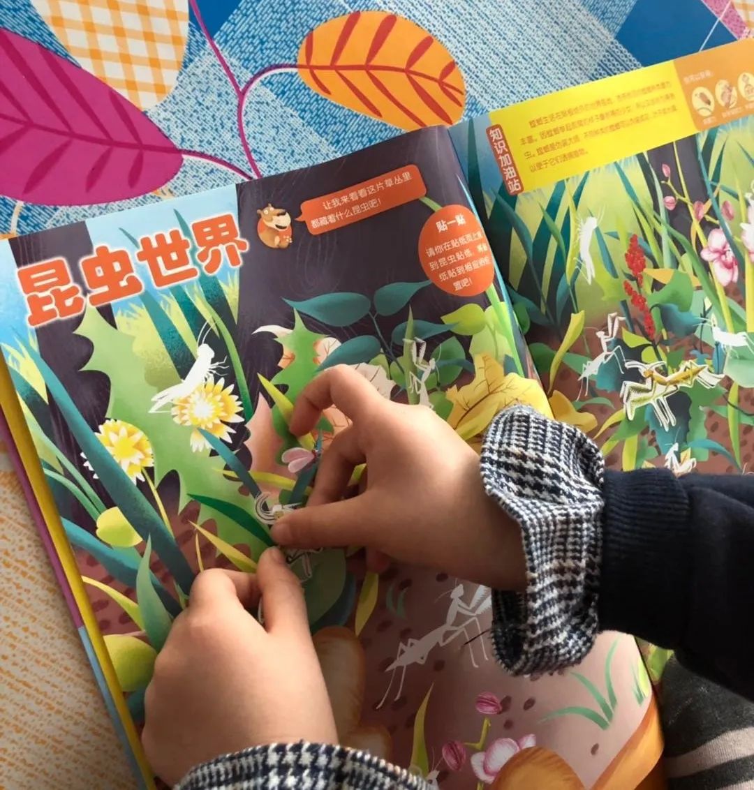 破马张飞骑驴,破马张飞怎么样