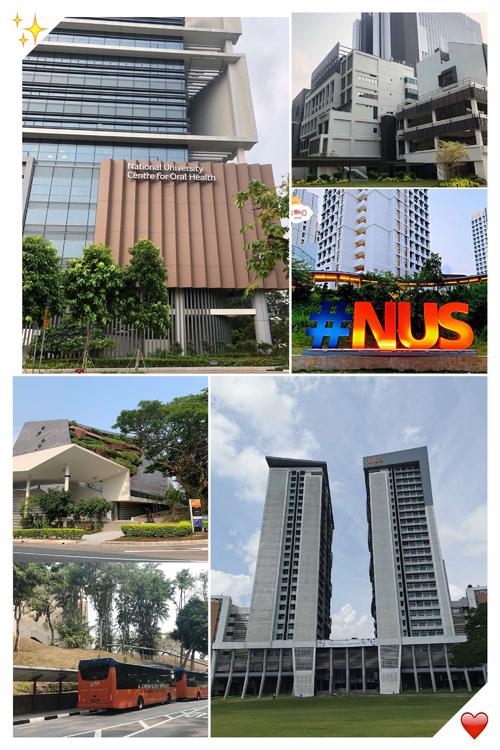 新加坡国立大学申请条件,新加坡国立大学院校清单