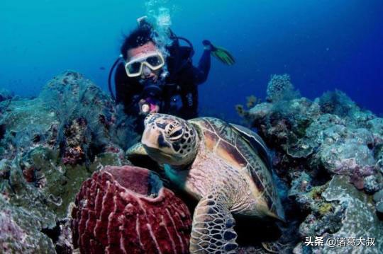 去一趟马来西亚要花多少费用,去一趟马来西亚一天游