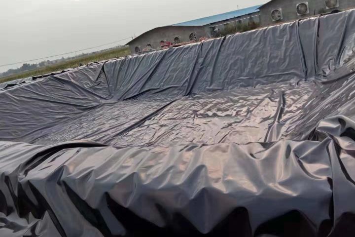 猪场氨气大有什么影响,猪场氨气该怎么解决