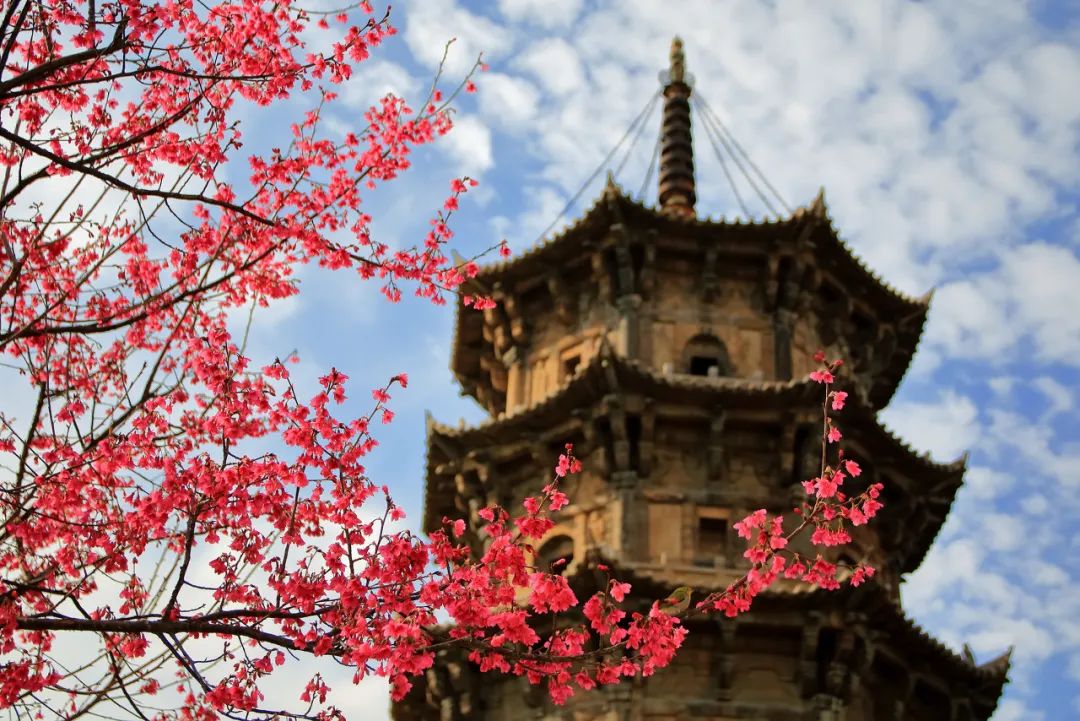 清明假期在哪玩,开启清明假期