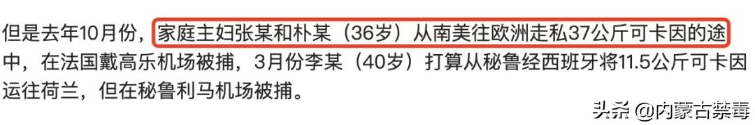 震惊！在某些国家，家庭主妇正在成为贩毒集团的主力军