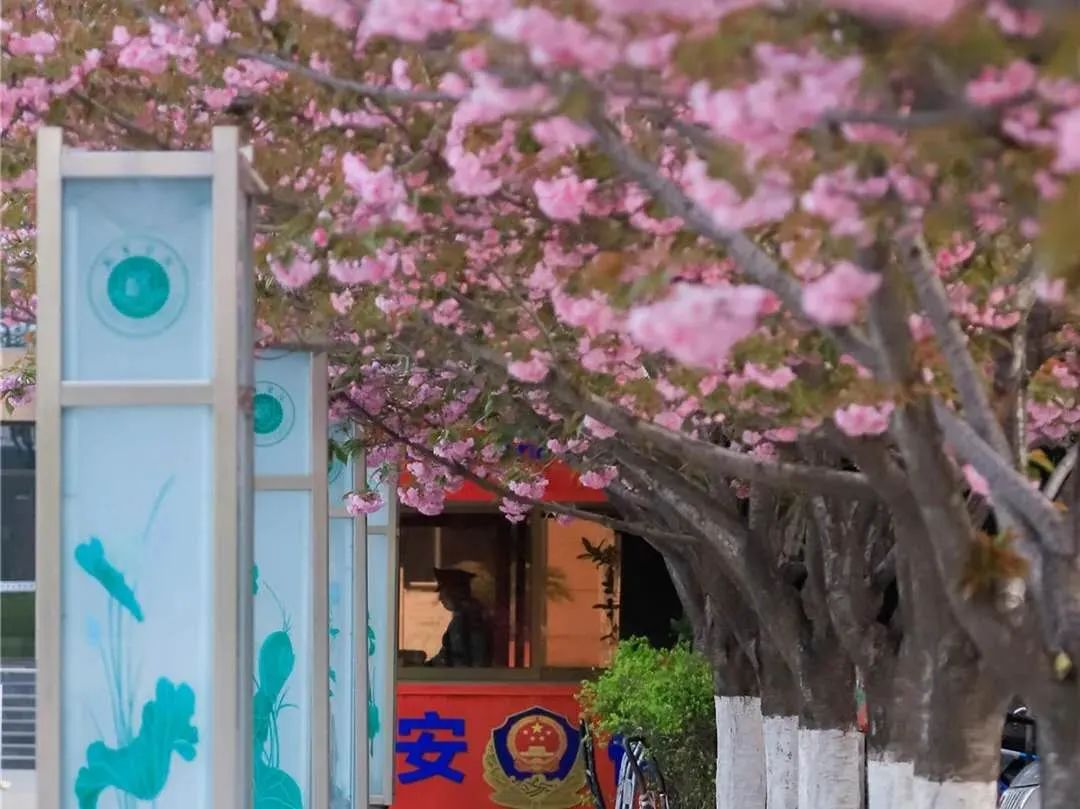 千万不要来西安读大学！别怪我没提醒你！