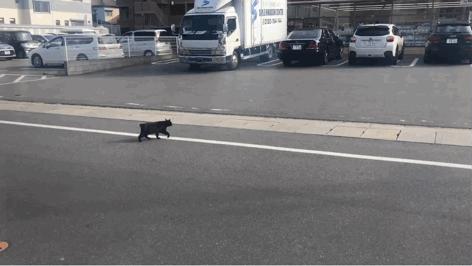 福冈的真实生活,福冈生活常识