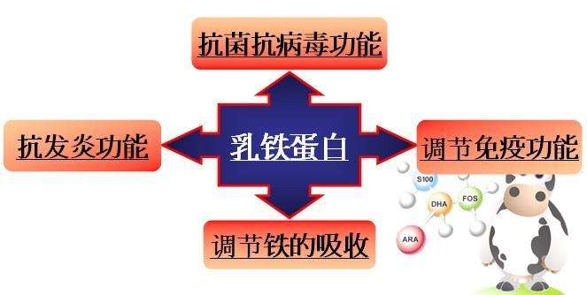 乳铁蛋白提高宝宝免疫力?预防感冒可能性有多大?这些真相要知道