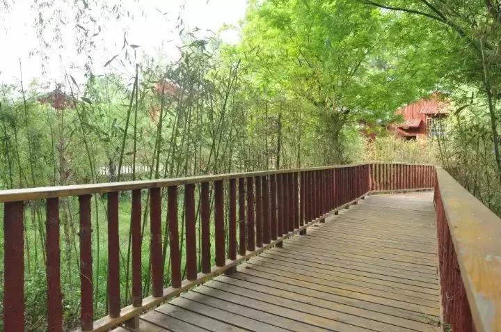 洛阳冷门景点,洛阳冷门好玩的地方