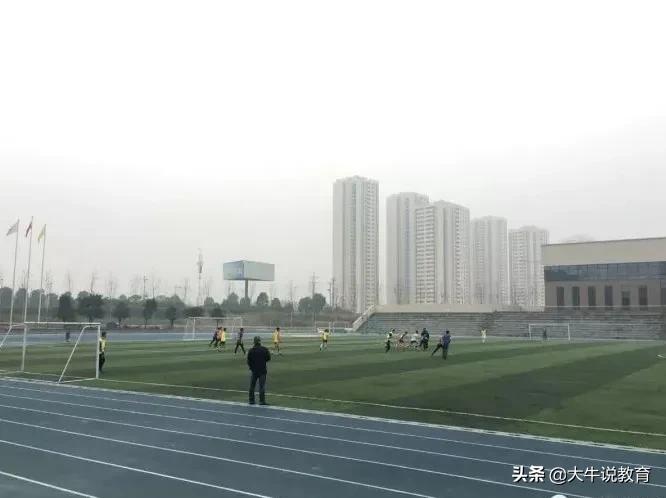 师陶圣地,育才摇篮,近七年数据深度剖析,祝中考学子乘风破浪