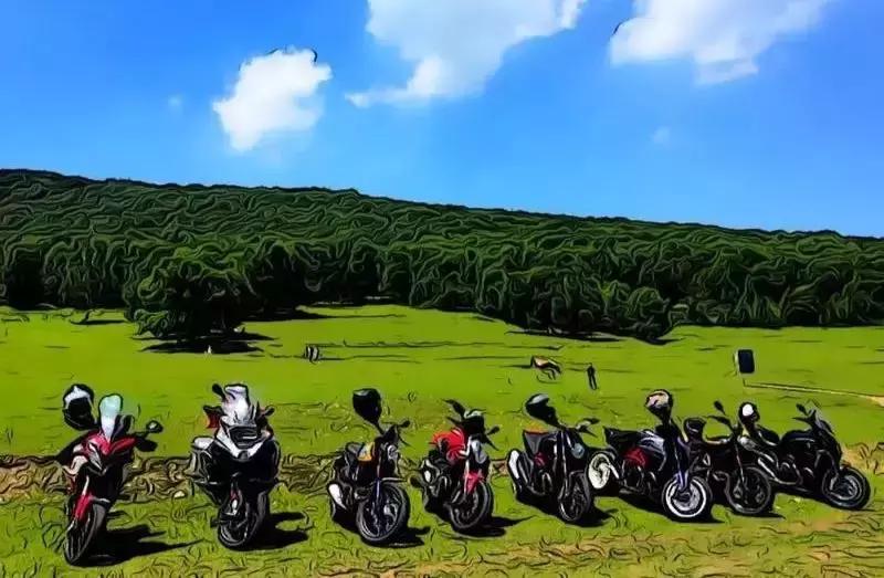 字节跳动有群面吗,字节跳动群