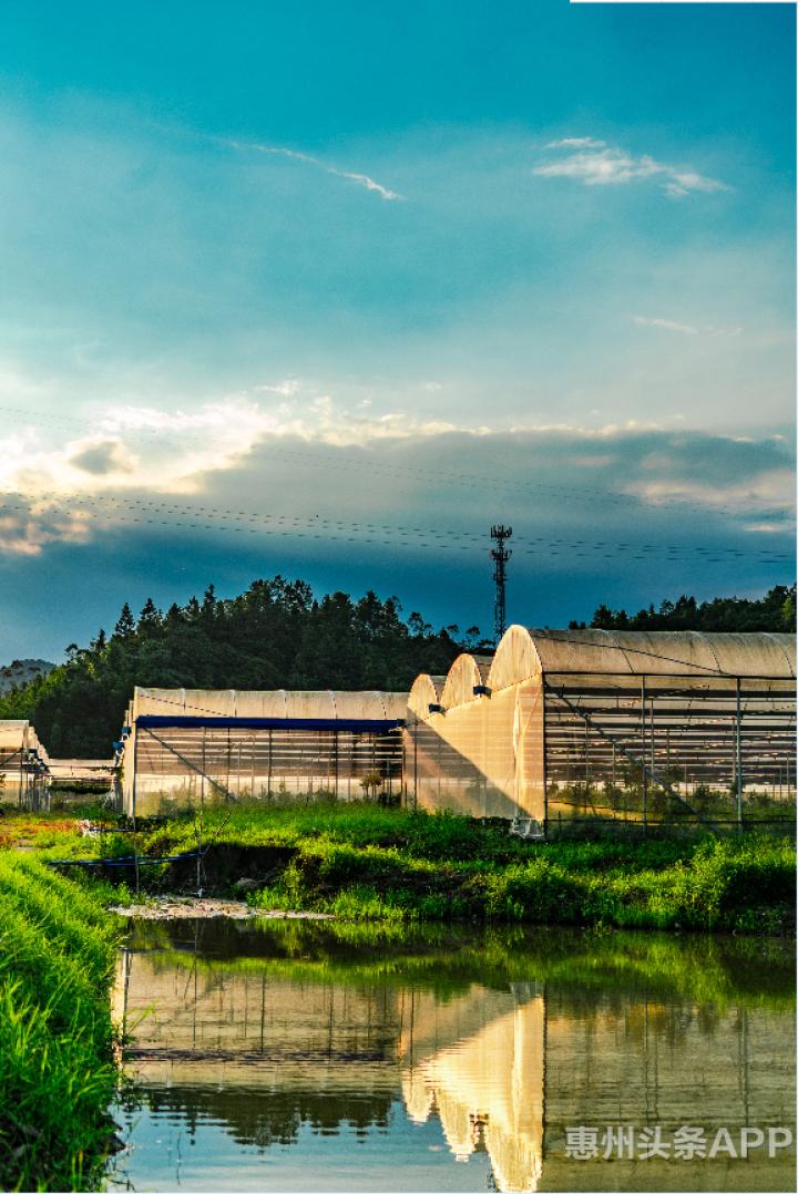 荒地变成致富田乡村振兴,荒地变成风景
