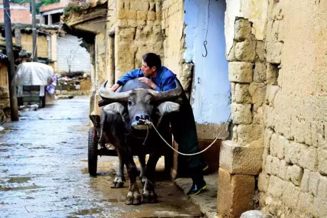 云南这个村子百家相连,一不留神就走到人家房顶上了