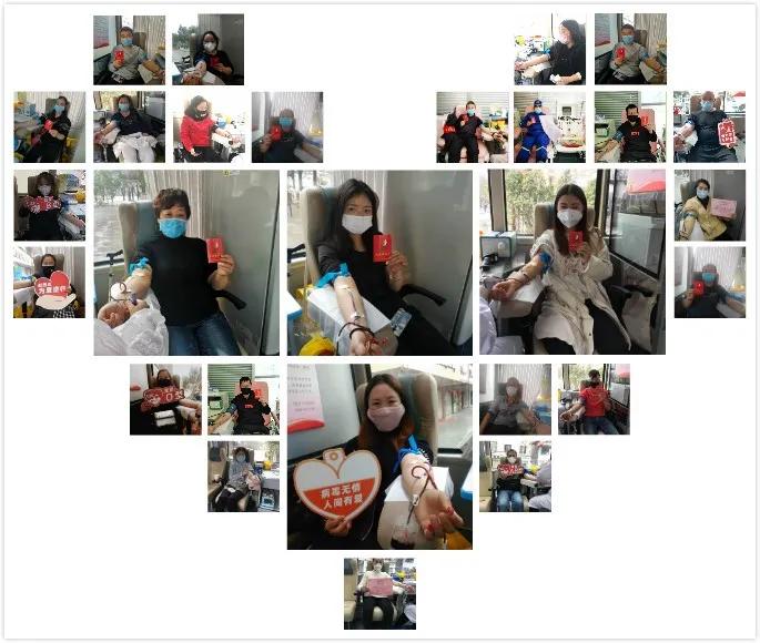 新年，血站给你的第一封信