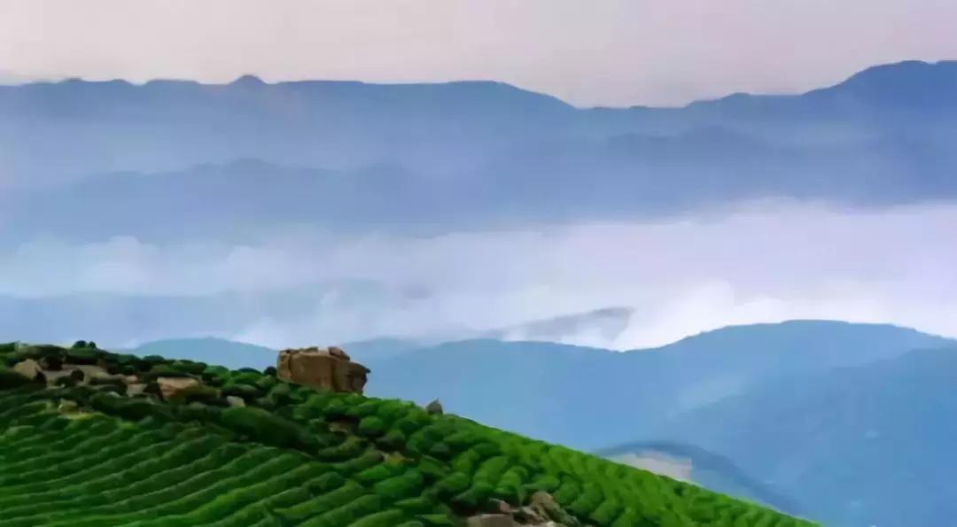 宁波踏春游玩,宁波春游推荐