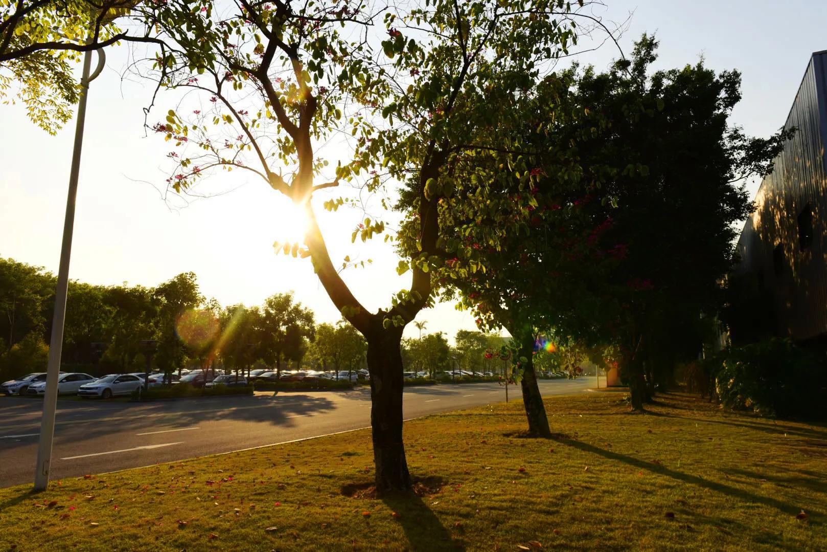 缇庣殑鍏ㄧ悆鍒涙柊涓績涓婄彮鏃堕棿,缇庣殑鍏ㄧ悆鍒涙柊涓績