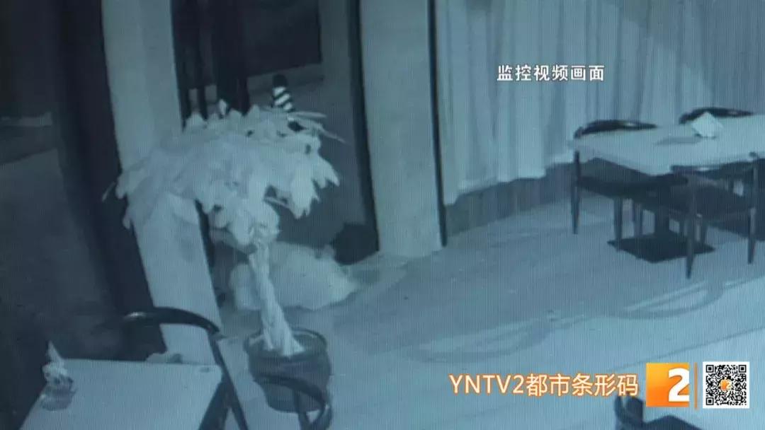 小偷在偷钱监控视频,监控上看不到小偷偷钱是怎么回事