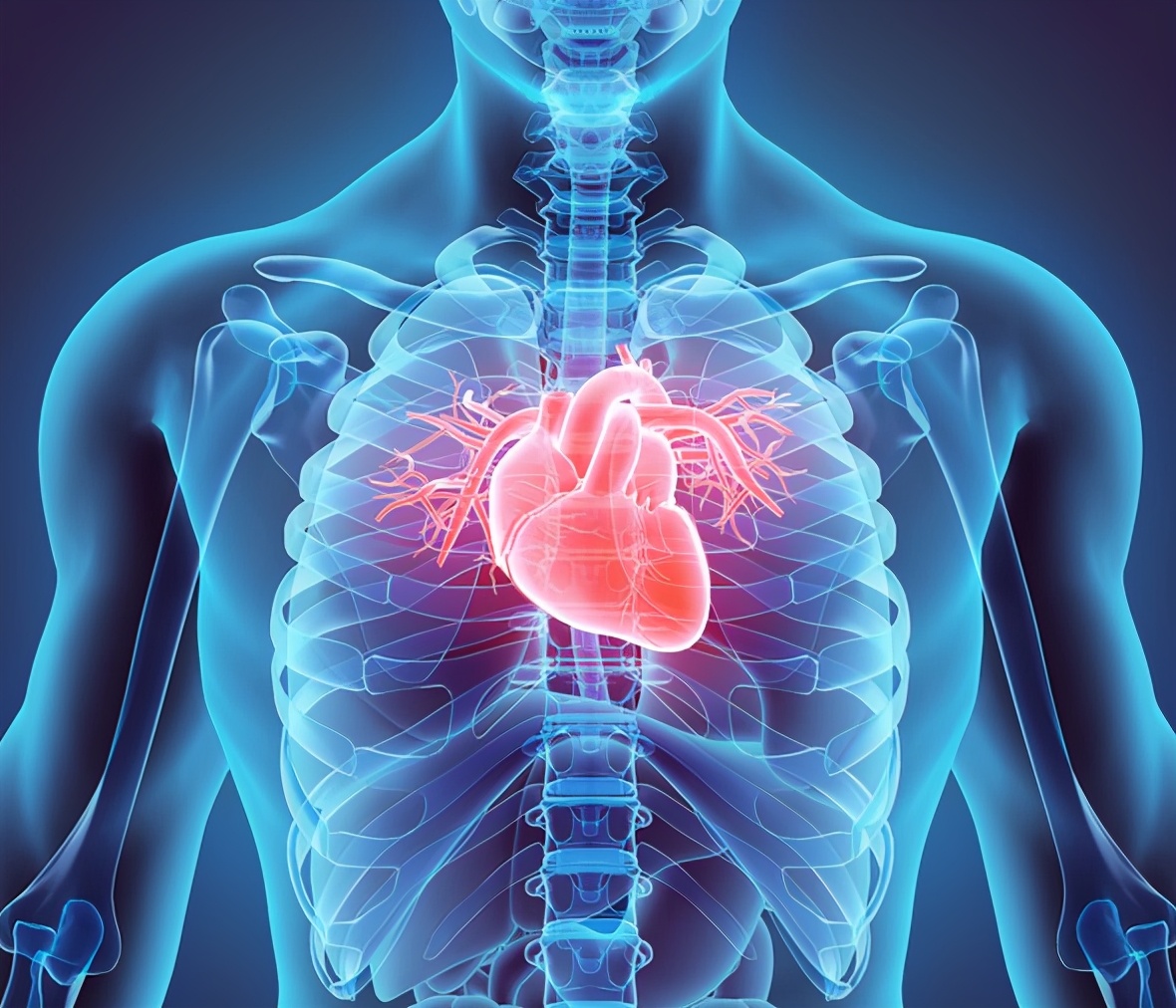 心脏不好吃什么食物对心脏有好处,吃什么食物对心脏好有助心脏健康