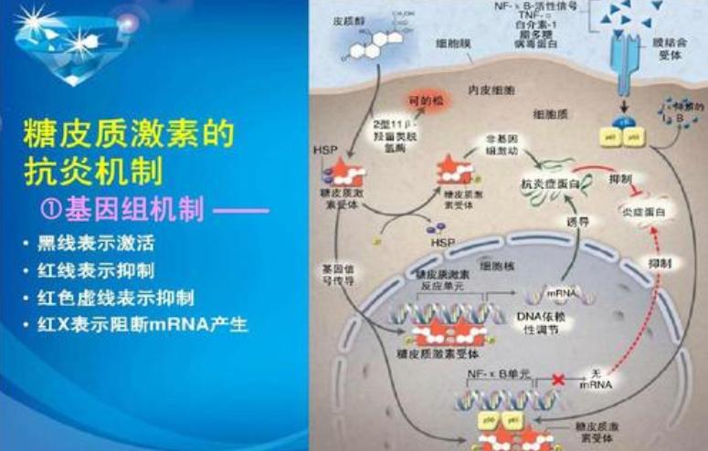 护理鸡皮肤的正确方法,身上的鸡皮肤怎样才能彻底消除