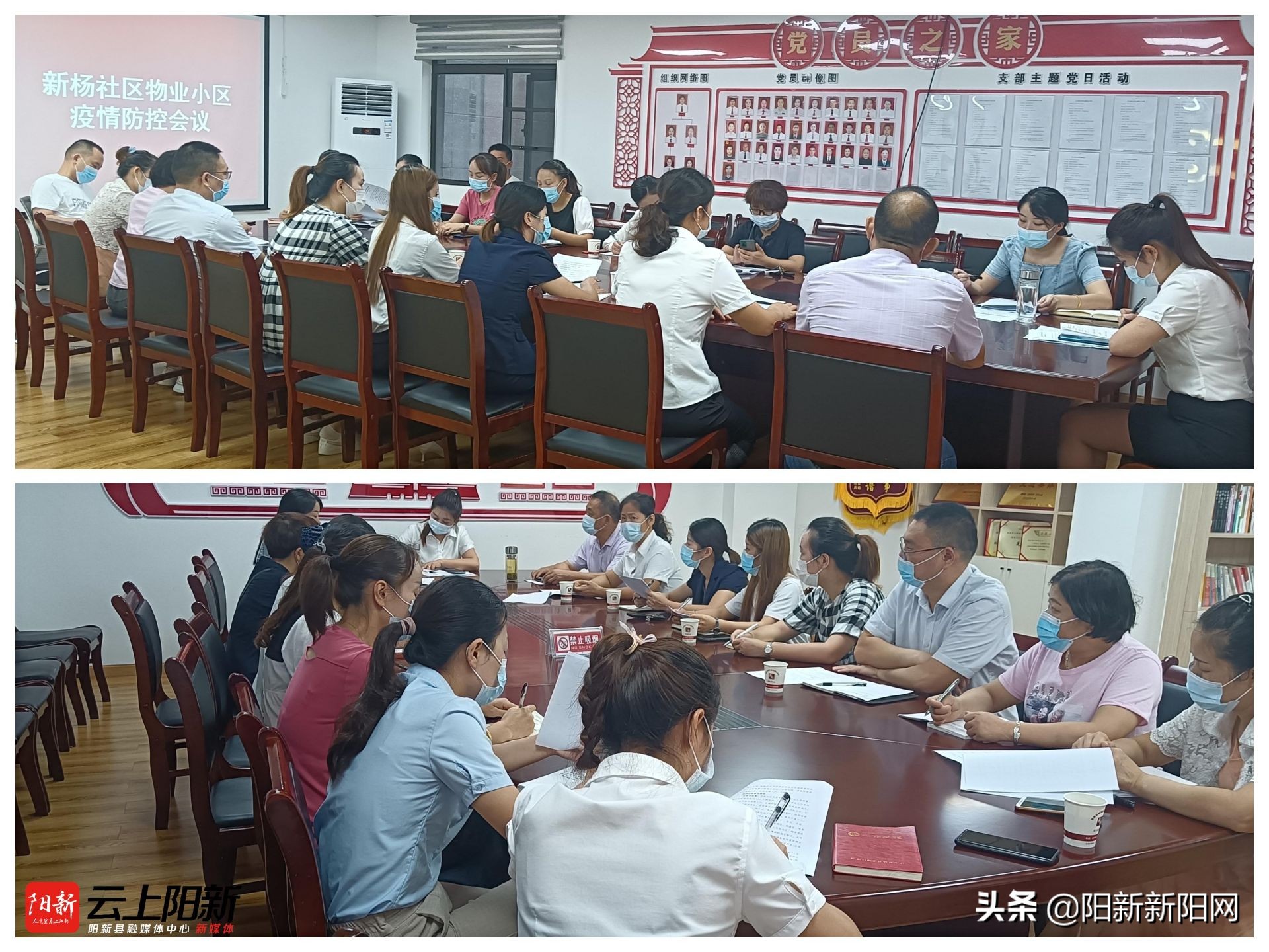 阳新新闻:新杨社区开展核酸采样应急演练现场观摩活动