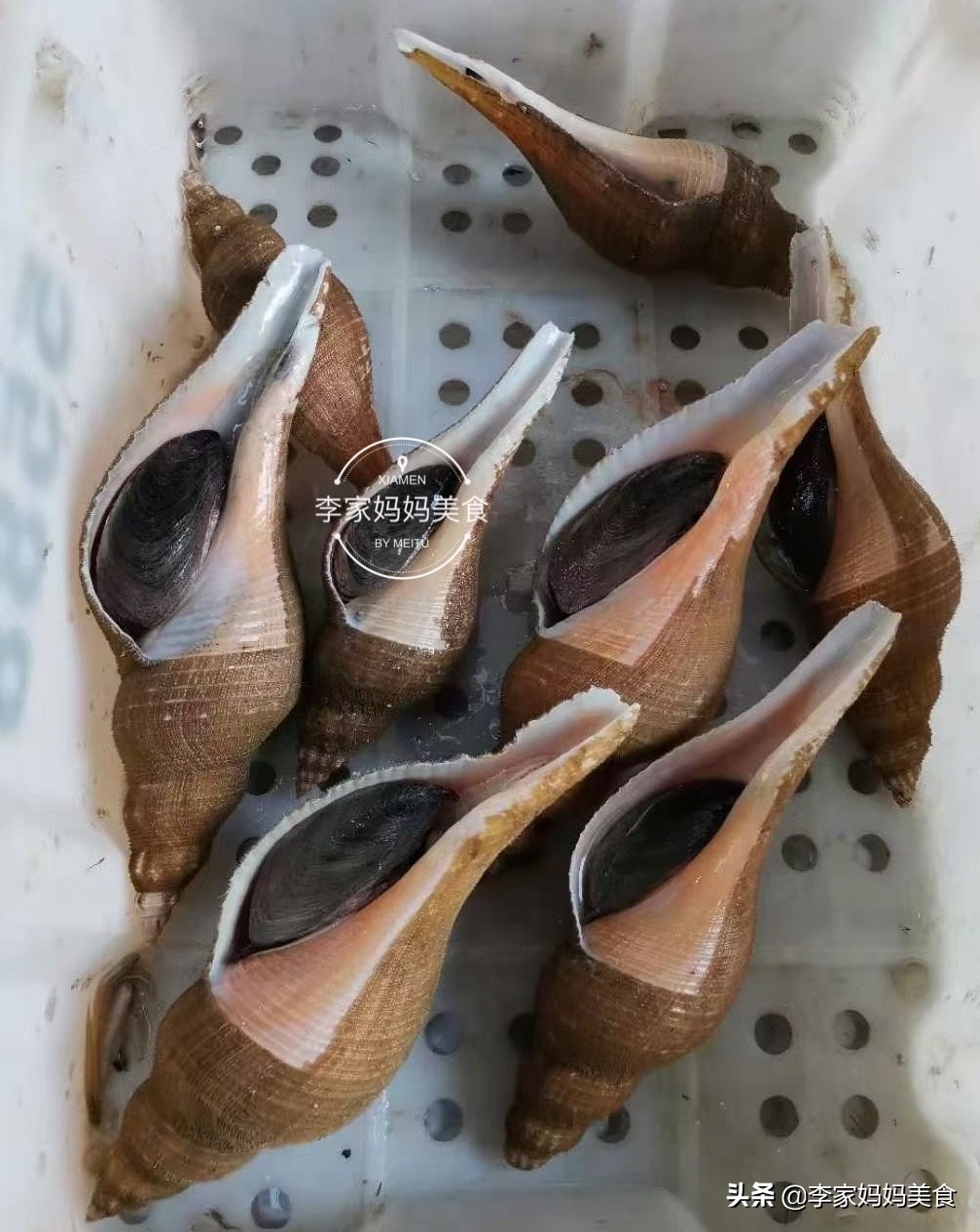 冬季海鲜推荐平价海鲜,便宜又好吃的冷门海鲜