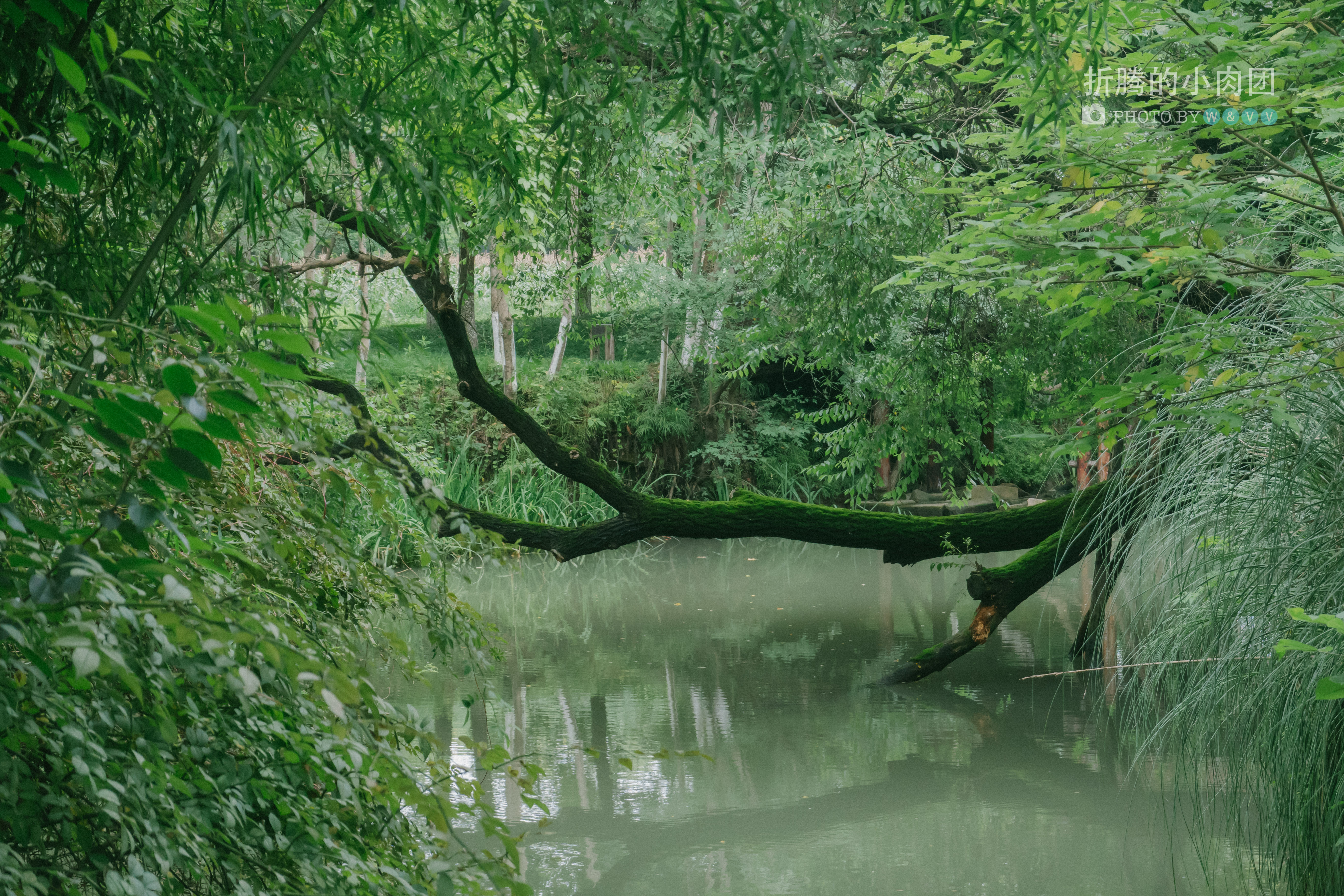 乌村亲子游全攻略,乌村亲子游攻略