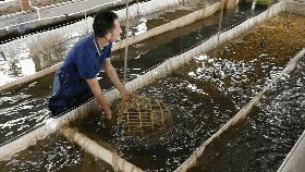 涨知识：鱼类不同的生长阶段，有不同的称呼