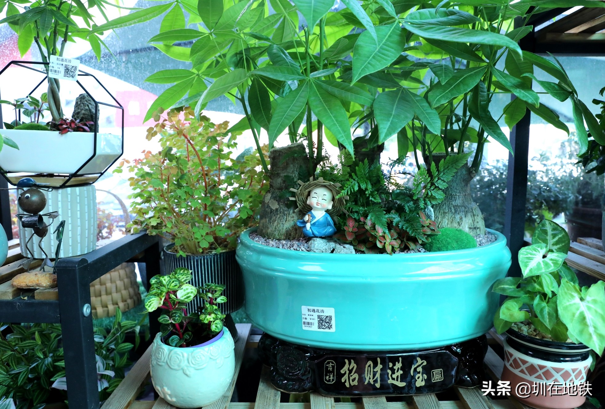 乘坐地铁到滘口花卉市场,从地铁到花卉市场