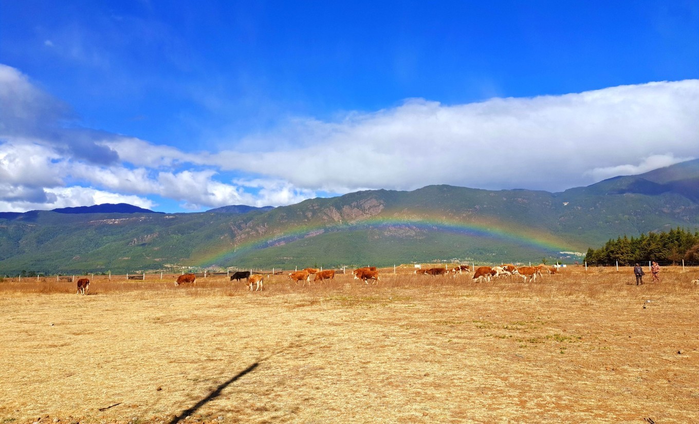 自驾云南滇藏,自驾滇西北旅游