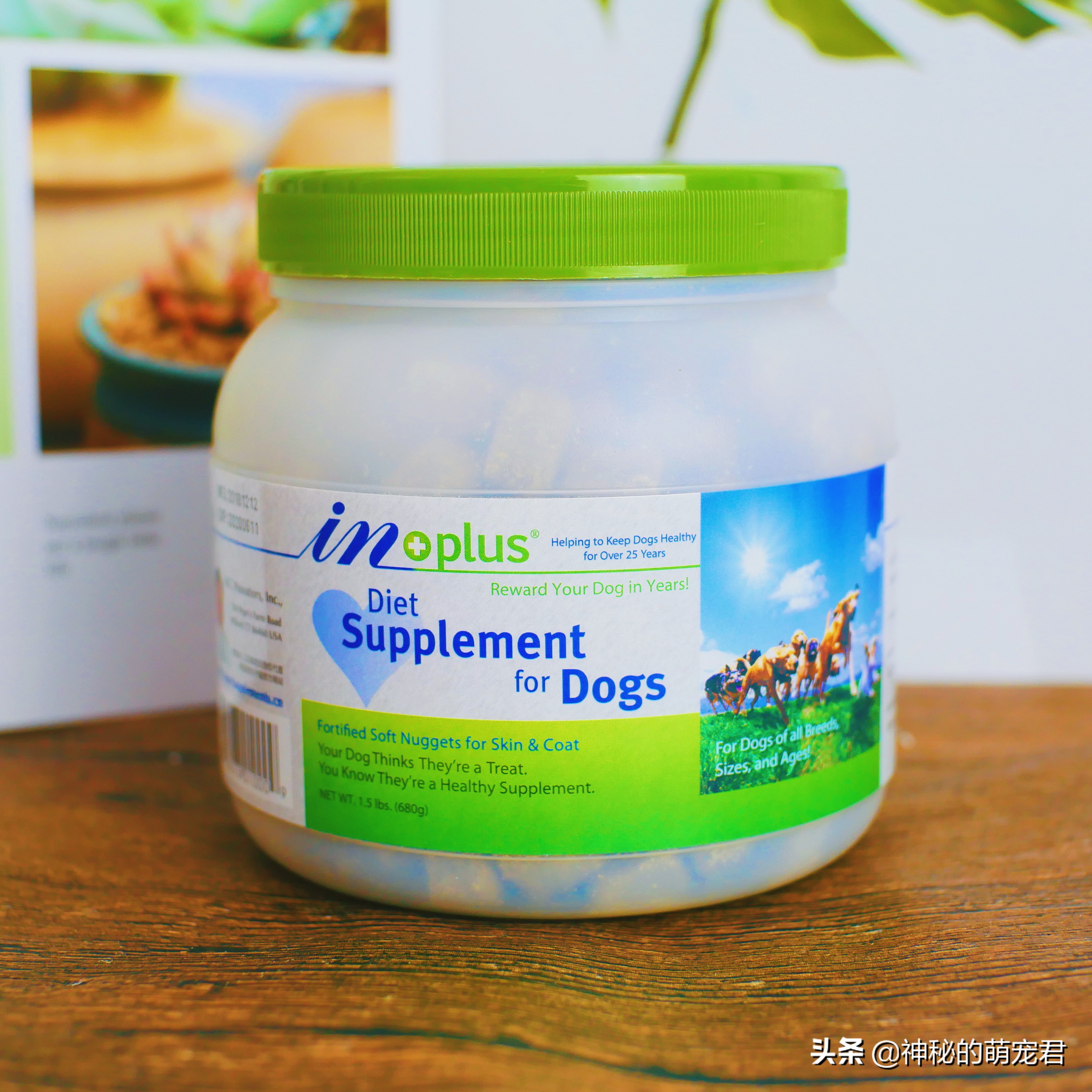 狗狗麦德氏卵磷脂,狗狗麦德氏卵磷脂一天吃多少粒