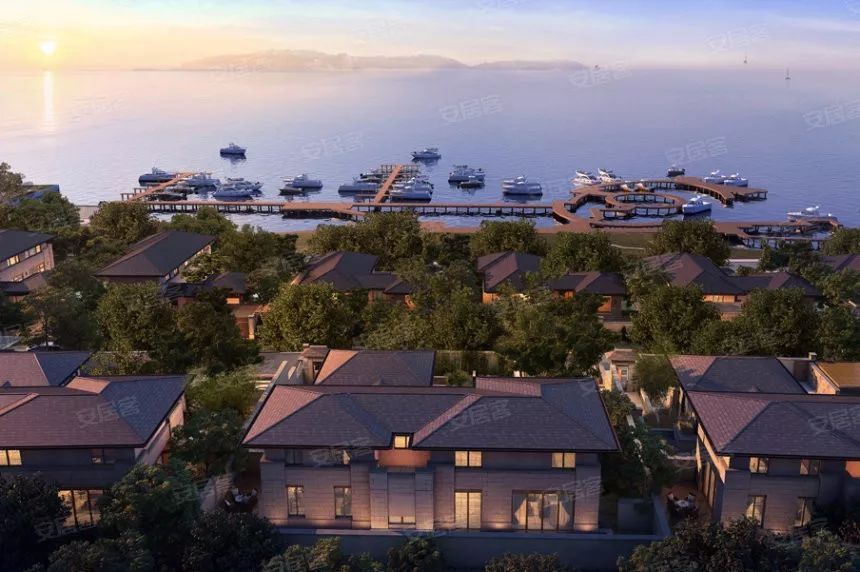 都挺好苏明玉第二套别墅,都挺好苏明玉把小咪接到豪宅