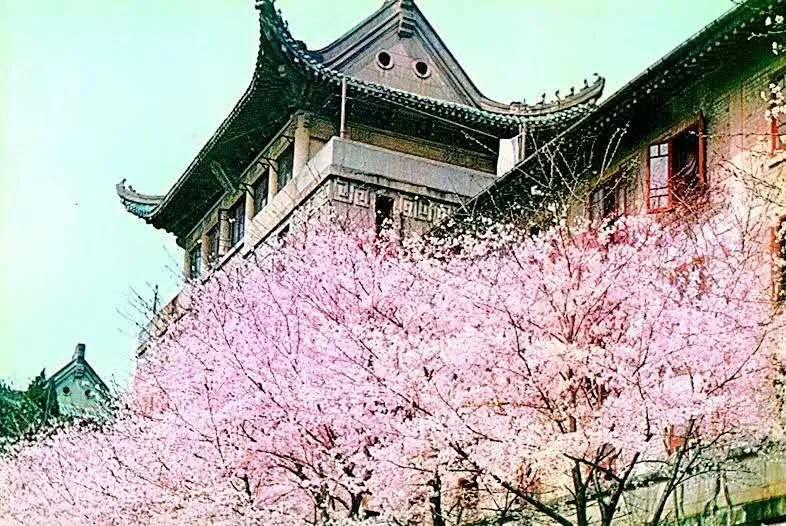 涔濆ぉ璇楄瘝绗崄鍏湡,涔濆ぉ璇楄瘝绗簩鍗佹湡