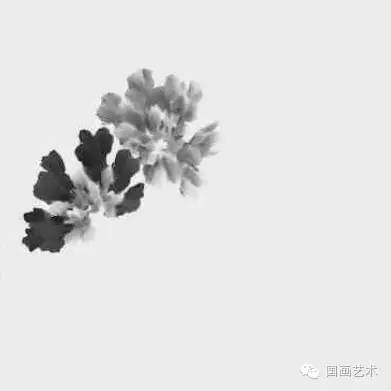 写意牡丹的画法步骤视频教程,王雪涛写意牡丹画法视频大全