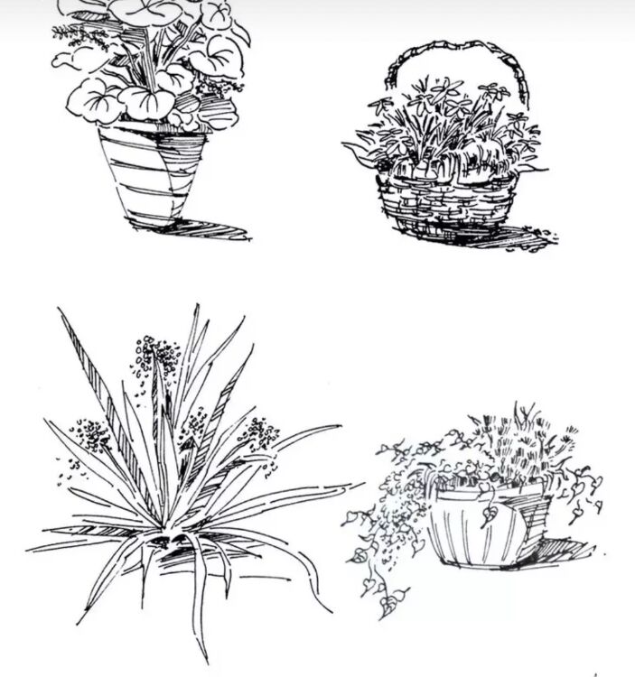 速写风景初学者入门教程炭笔,6-12岁儿童风景速写课程入门网课