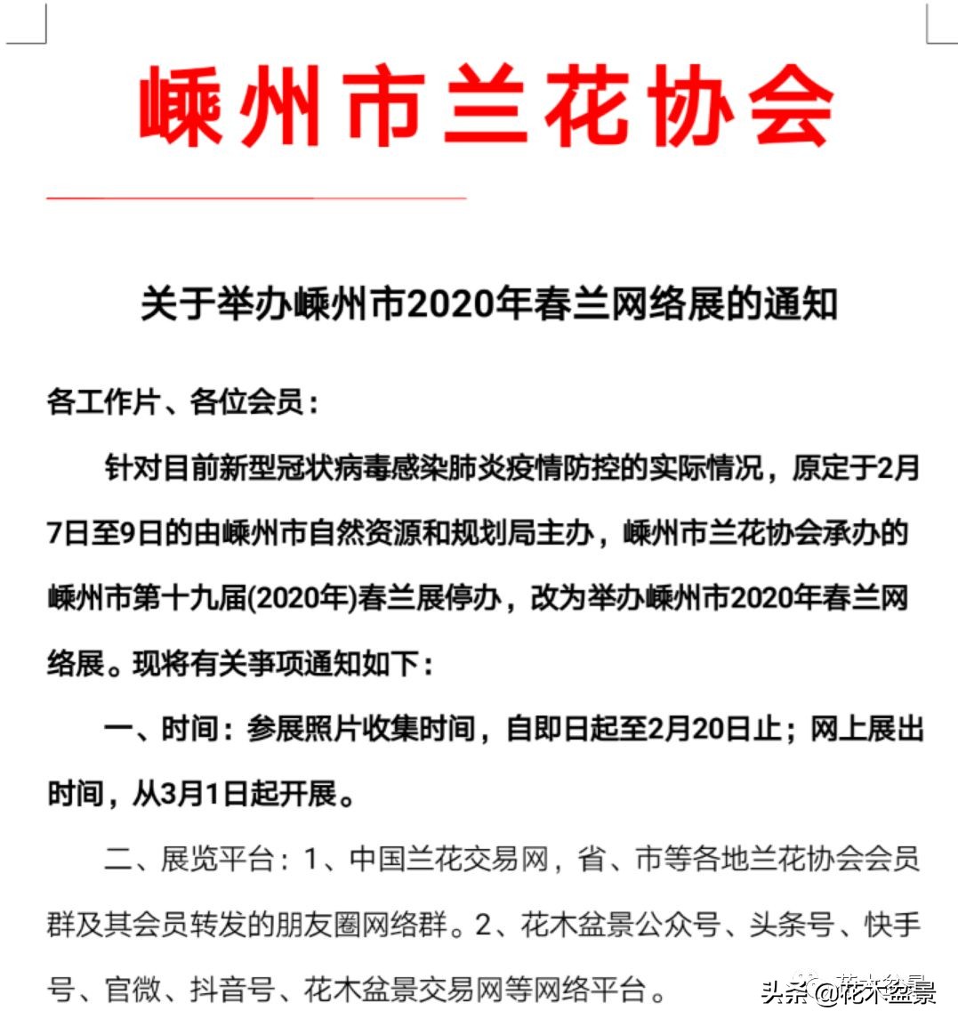疫情对花艺行业有什么影响,疫情期间盆景怎么处理最好