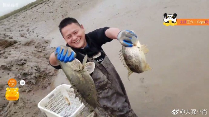 斗鱼直播洪湖小肖打野,熊猫洪湖小肖直播回放