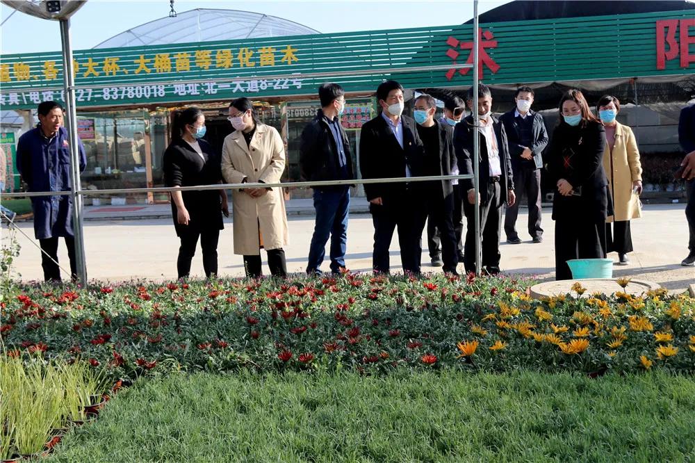 宿迁市沭阳县沭阳国际花木城,沭阳国际花木城布局