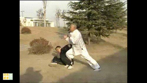 汤瓶七式拳视频全集,汤瓶七势拳多少年历史