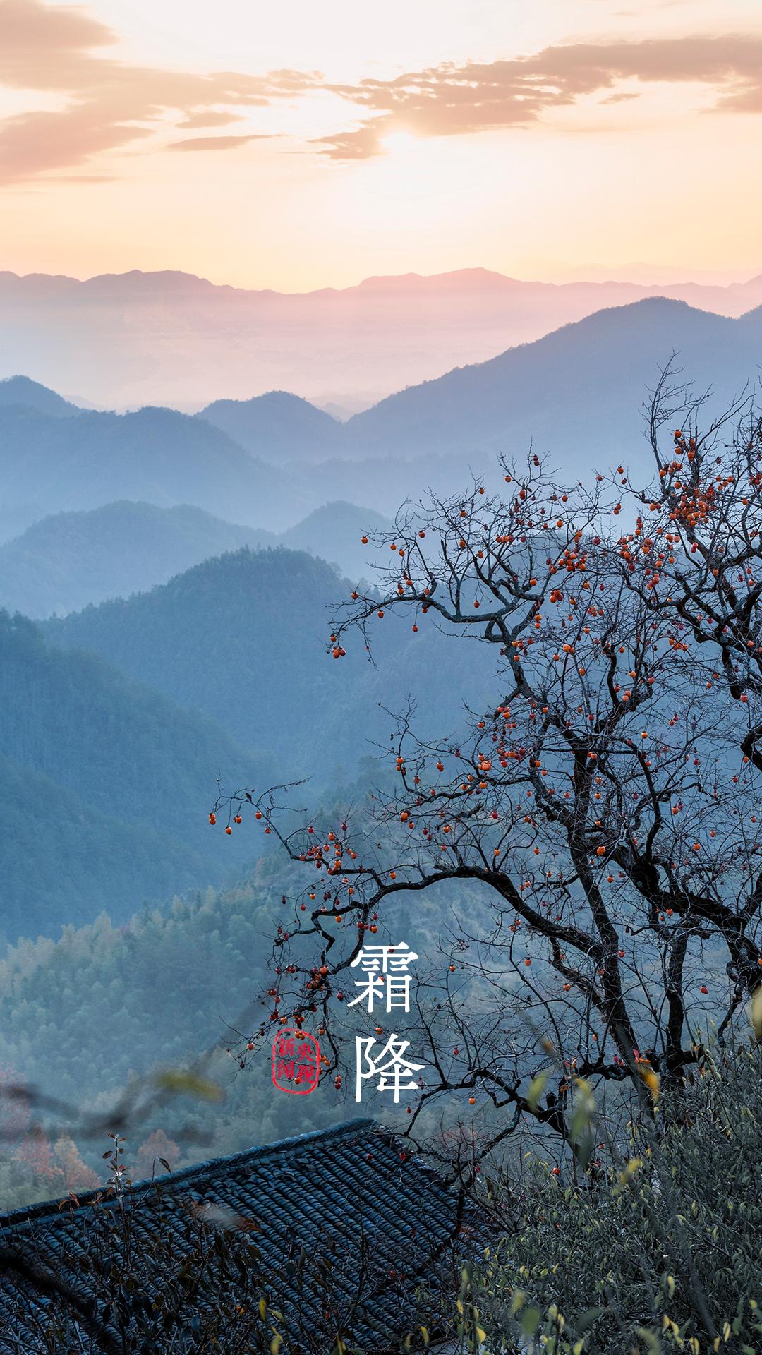 央视珍藏二十四节气手机壁纸,二十四节气壁纸手机超清全面屏