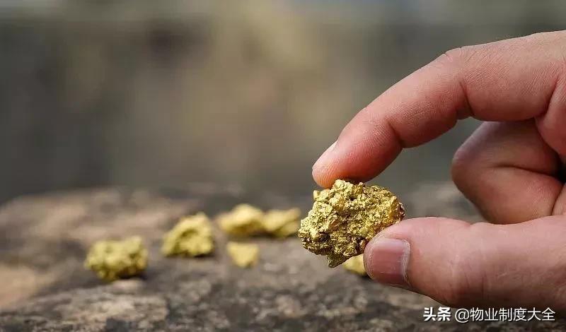 木质地板清洁小妙招简单又干净,微波炉清洁小妙招一擦就干净