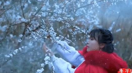 妯′豢鏉庡瓙鏌掍镜鏉冨悧,灞卞鏉庡瓙鏌掍镜鏉冨悧