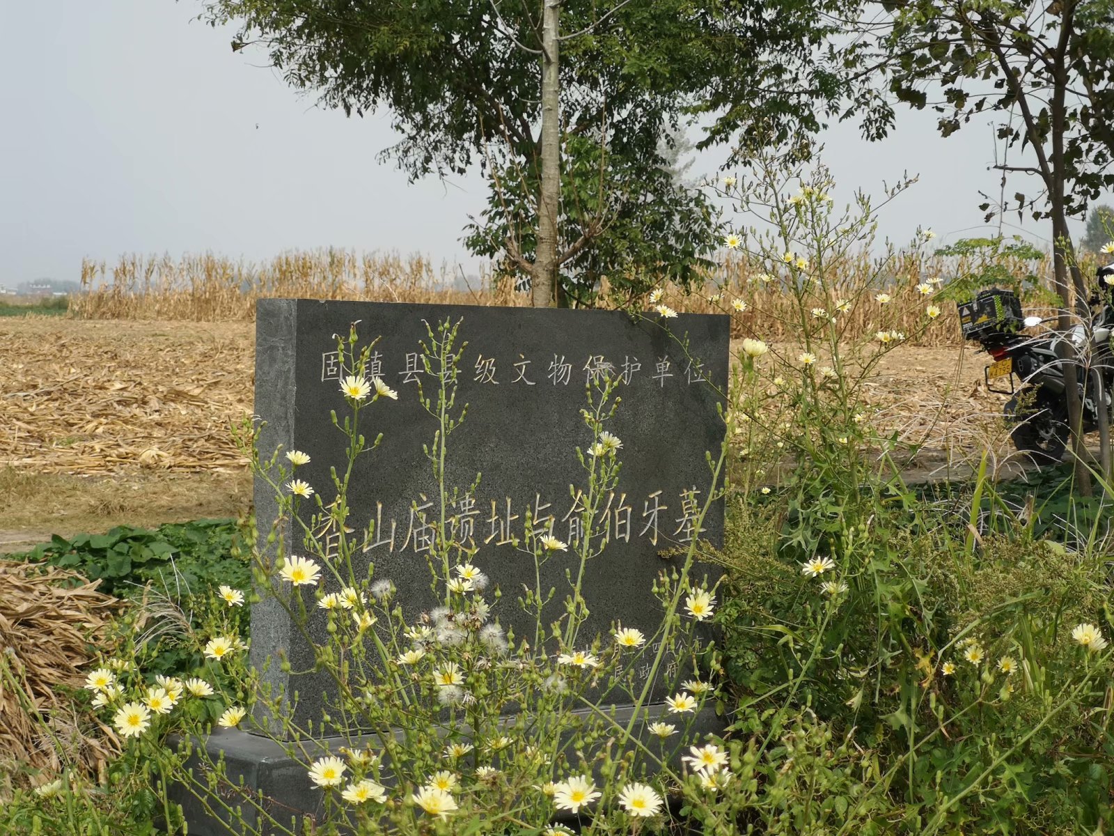 俞伯牙墓为什么在固镇,俞伯牙墓出土