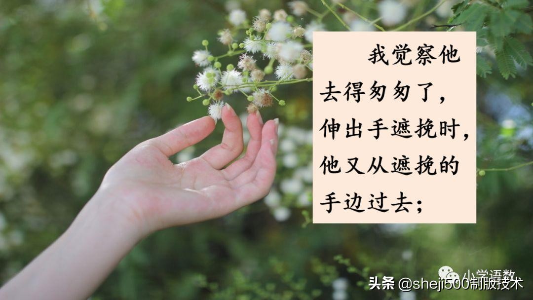 部编版六年级下第八课匆匆讲解,语文六年级下册第8课匆匆预习