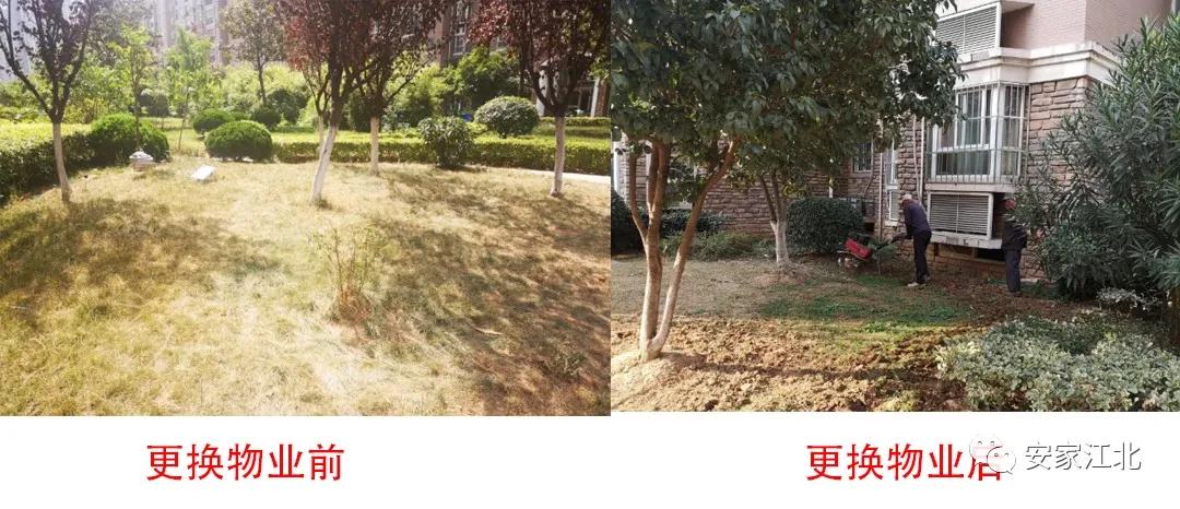 江北哪个小区物业好一些,重庆哪个物业比较好