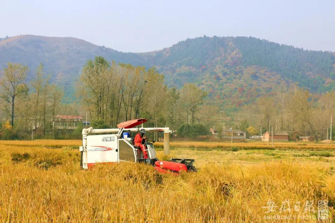 宿州秋色最浓的地方,宿州冬日游玩景点有哪些