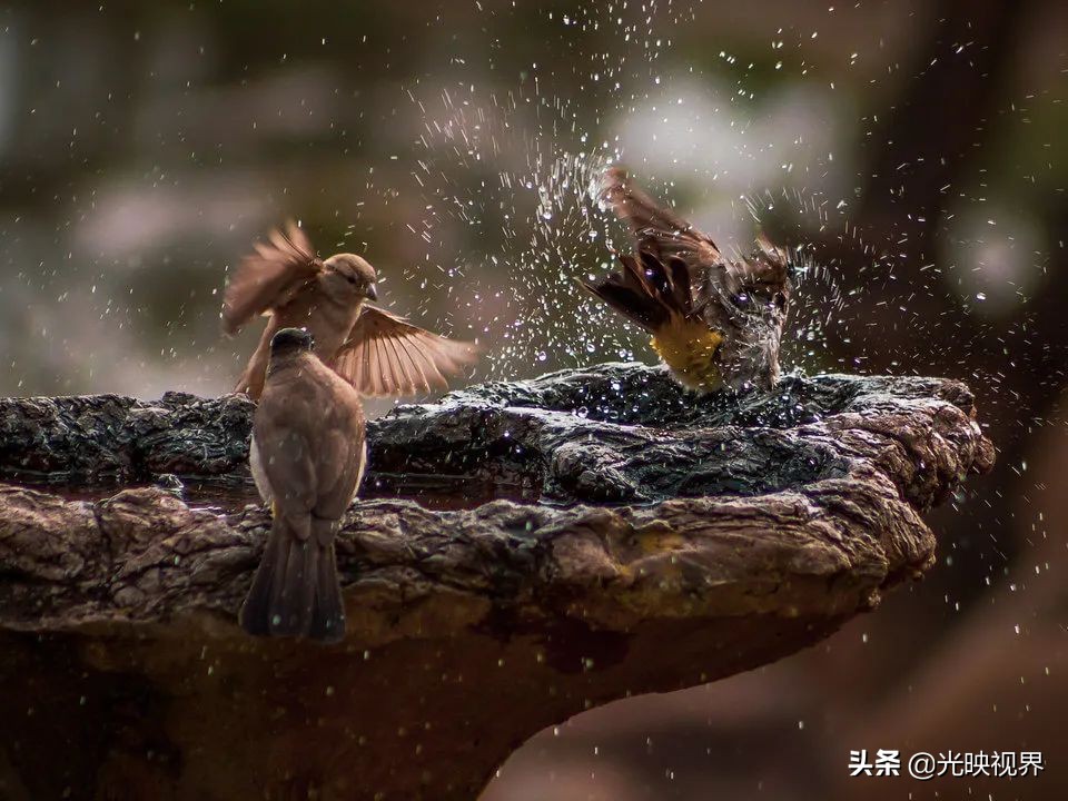 捕捉你的瞬间视频,捕捉惊艳的瞬间