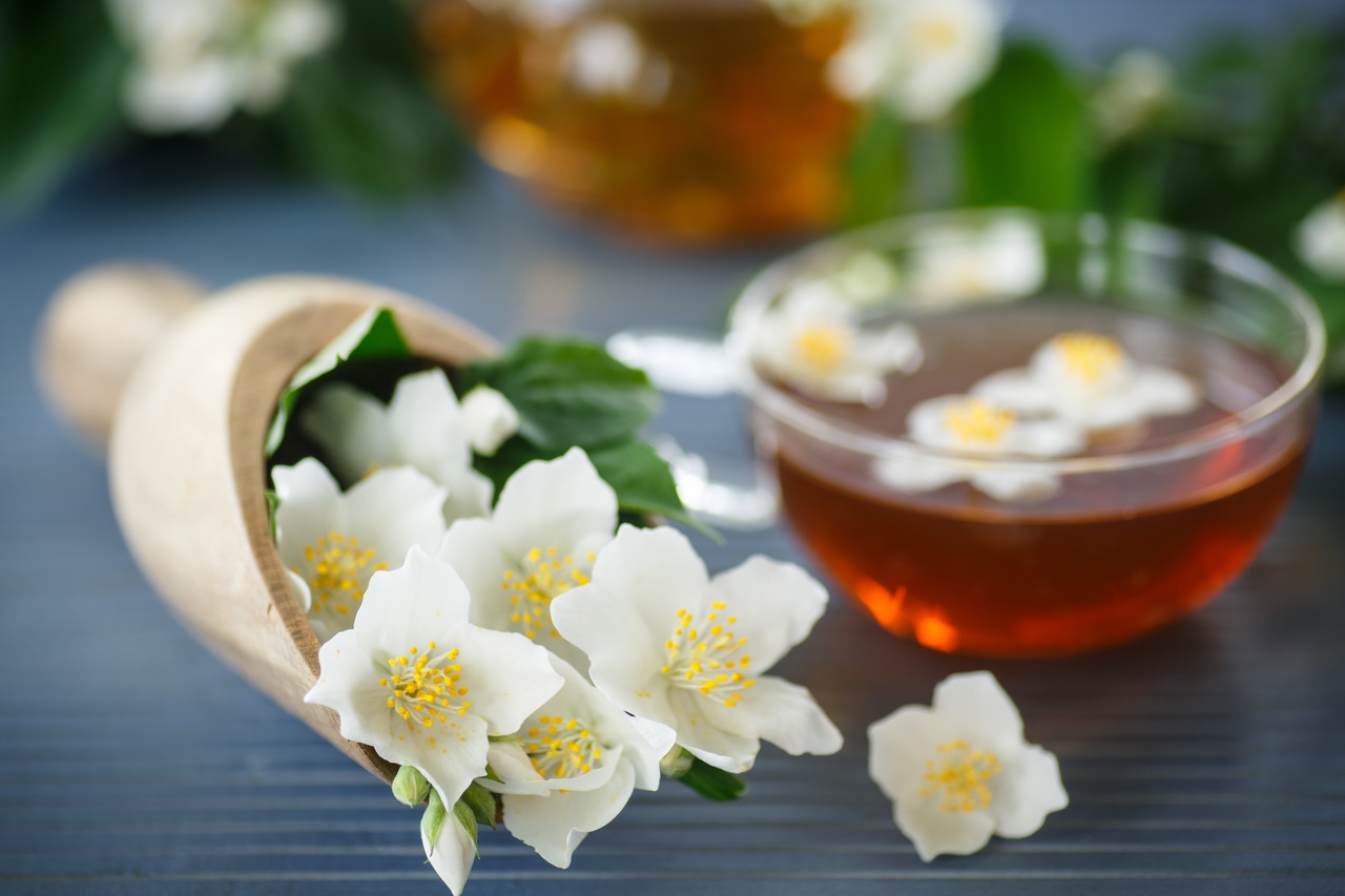 为什么北方人爱喝茉莉花茶,南方茉莉花茶和北方茉莉花茶