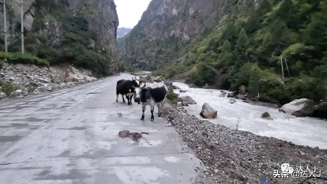 有一种信仰叫爱情,心目中的珠穆朗玛峰